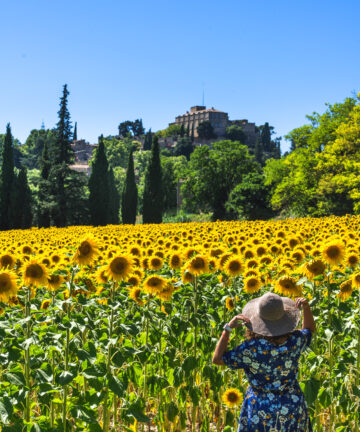 Guide Cucuron, Cucuron, Visiter Cucuron, Guide Luberon, Visiter Luberon, Guide Provence, Guides Provence